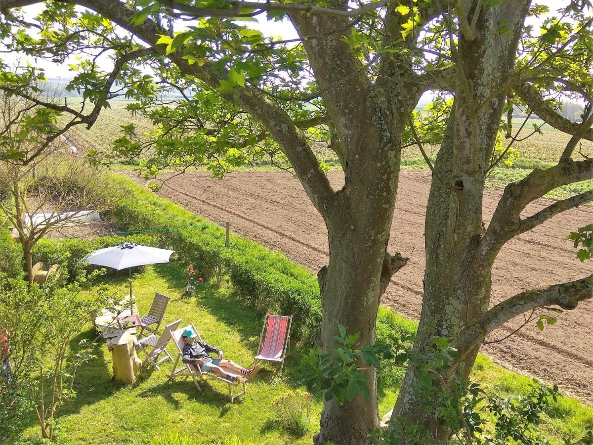 La Grange Aux Lievres, Gites Kerdoel Cléder 外观 照片